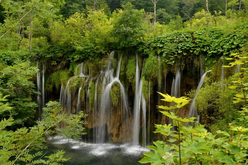 Cascadas pequeñas cubiertas de musgo entre vegetación densa en Plitvice