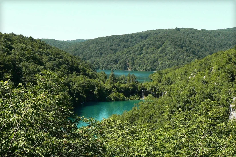 Vista a lo lejos de lagos rodeados de bosque verde en Plitvice